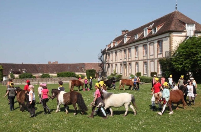 Colonie de vacances poney et petit fermier dans l'Yonne