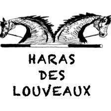 Logo Centre équestre des Louveaux