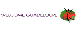 Logo Welcome Guadeloupe