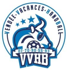 Logo Vendée Vacances Handball