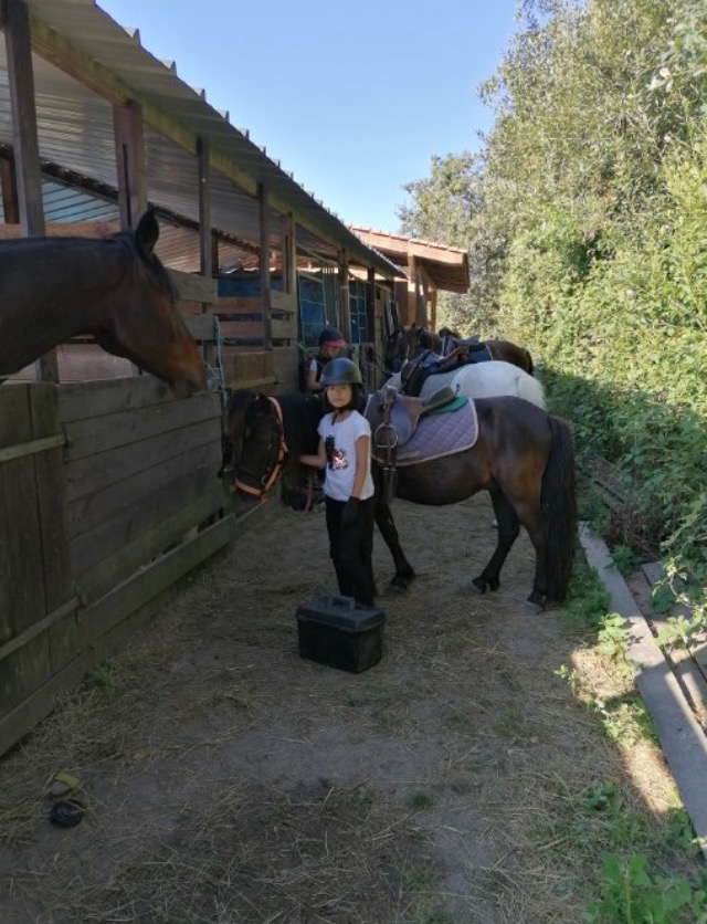 Colonie Équitation Perfectionnement en Gironde