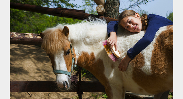 Stage équitation en provence