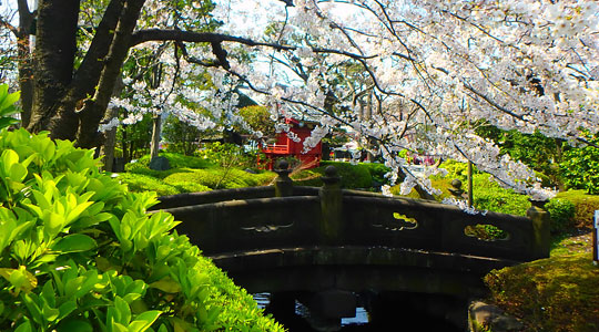 Découvrir le Japon