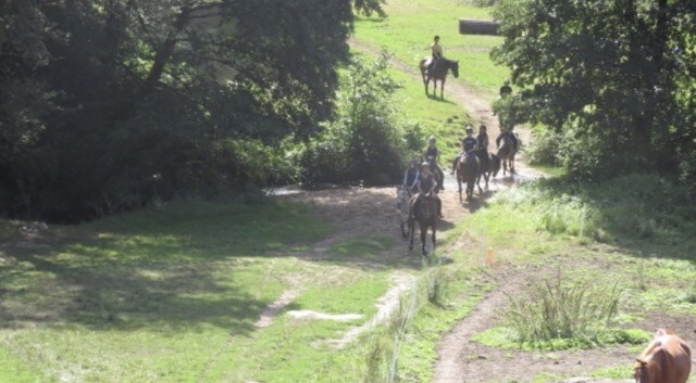 Colonie de vacances 100% équitation Limousin