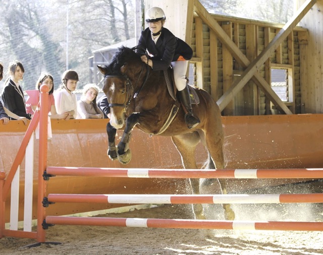 Colonie équitation Perfectionnement technique Galop 4 et plus