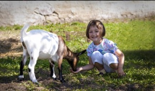 Colonie équitation au trot avec mon poney 