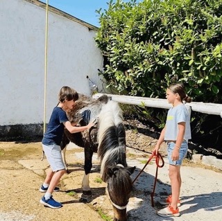 Colonie équitation Intensif 