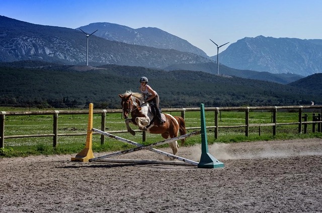 Colonie de vacances 100% équitation junior