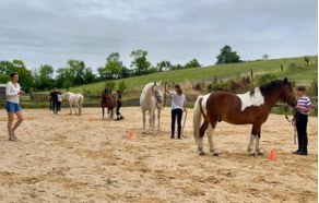 Equitation d'extérieur 11-17 ans