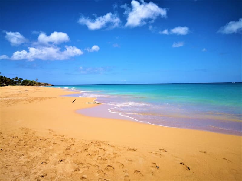 Guadeloupe Nature - Image 1