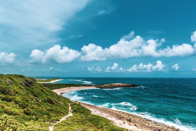 Guadeloupe Nature - Image 2