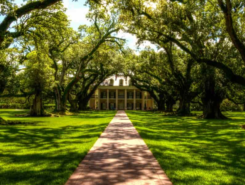 Escapade en Louisiane - Image 2