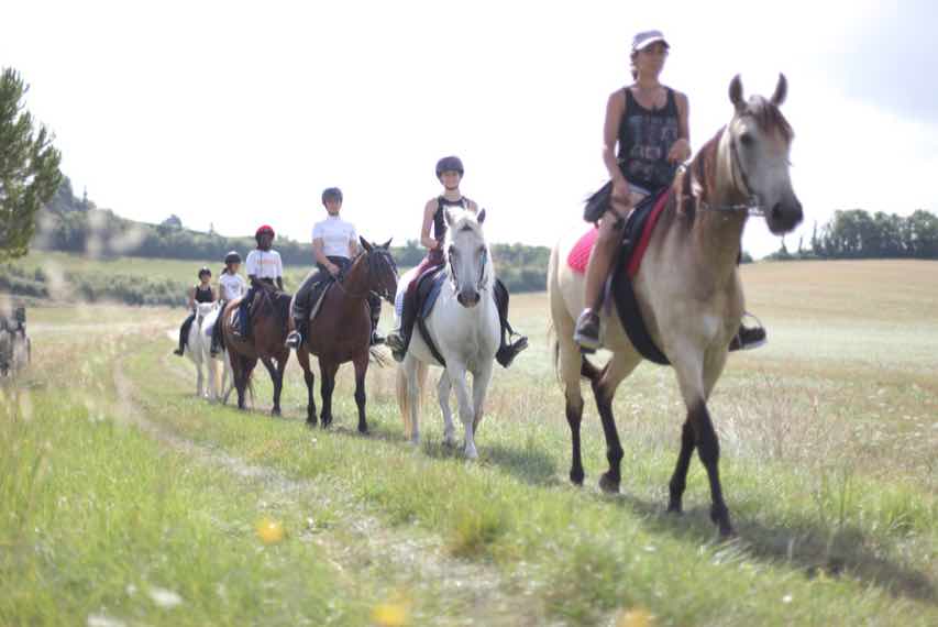 Séjour équitation éthologique - junior