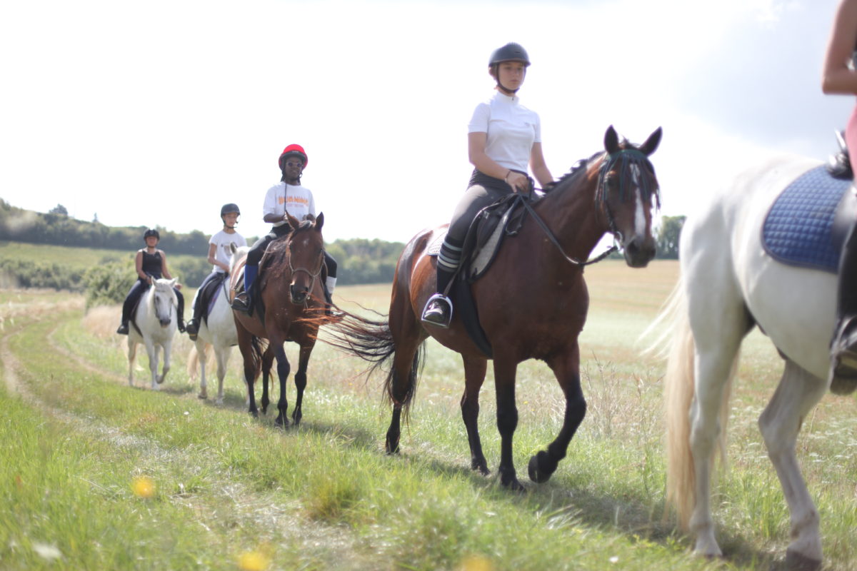 Séjour équitation préparation des galops 2-3