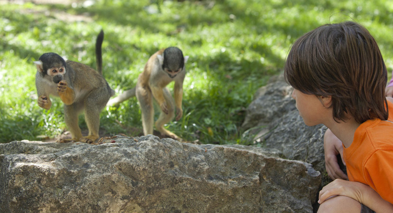 Futuroscope, vallée des singes et DéfiPlanet'