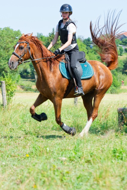 Camp sport équitation