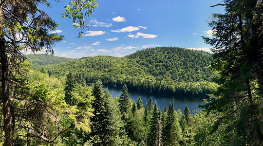 Canada - Québec, Montréal et Tadoussac