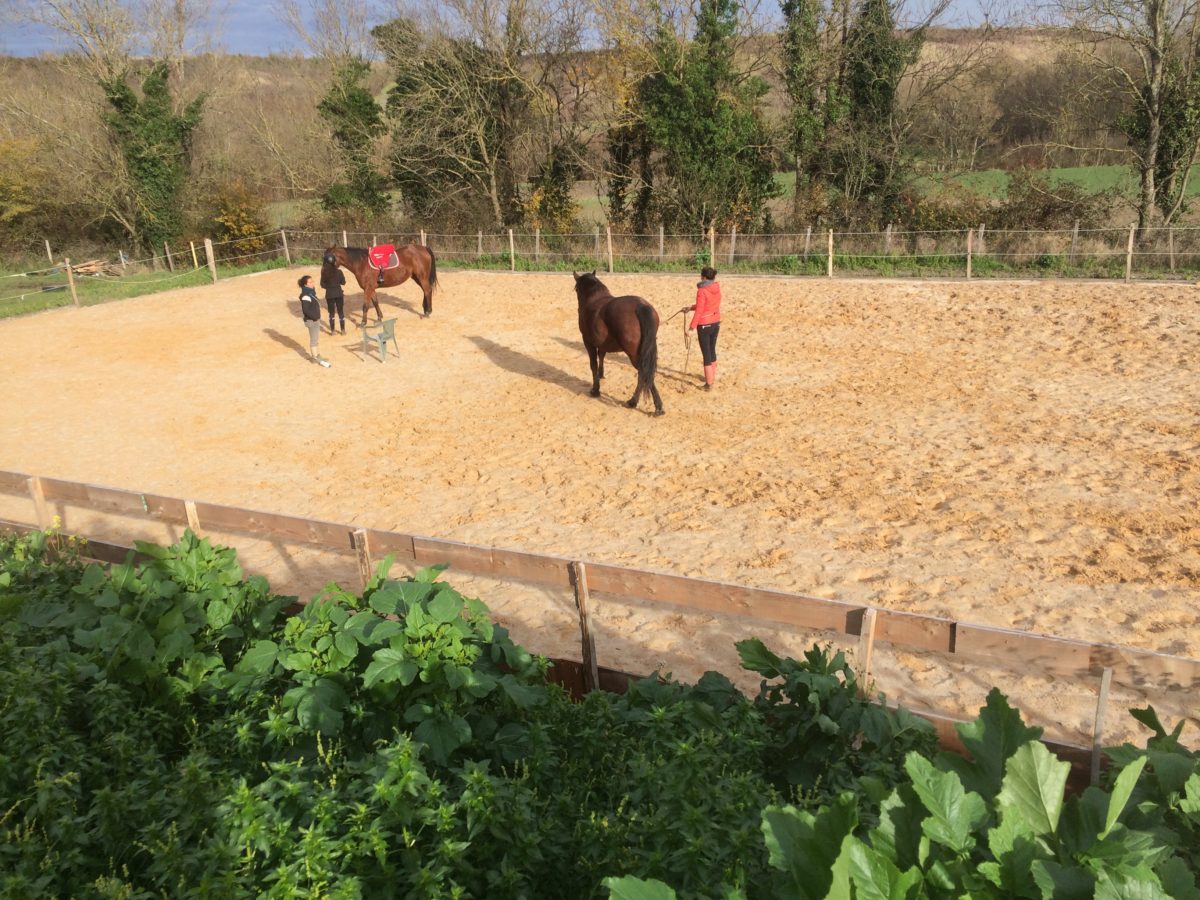 Séjour équitation éthologique - ado