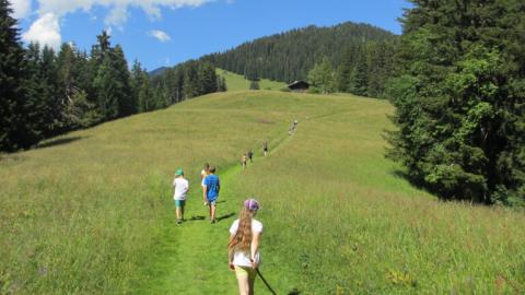 Leysin - l'oxygène des Alpes - Image 2