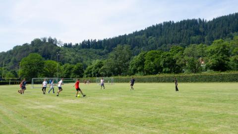 Freiburg - La Capitale de la Forêt Noire - Image 3