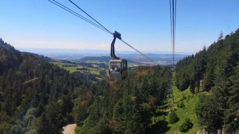 Freiburg - La Capitale de la Forêt Noire - Image 2