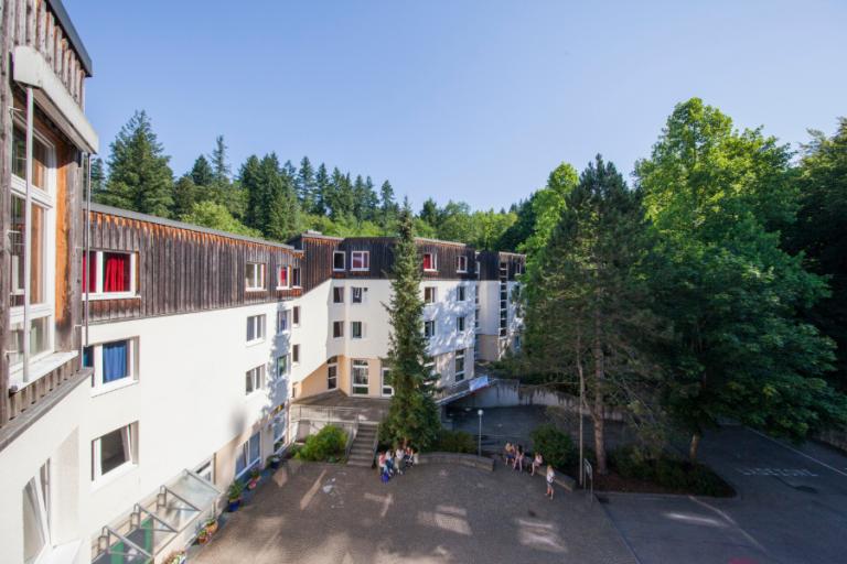 Freiburg - La Capitale de la Forêt Noire - Image 1