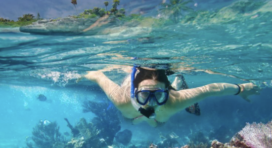 Cap Méditerranée  - Image 2