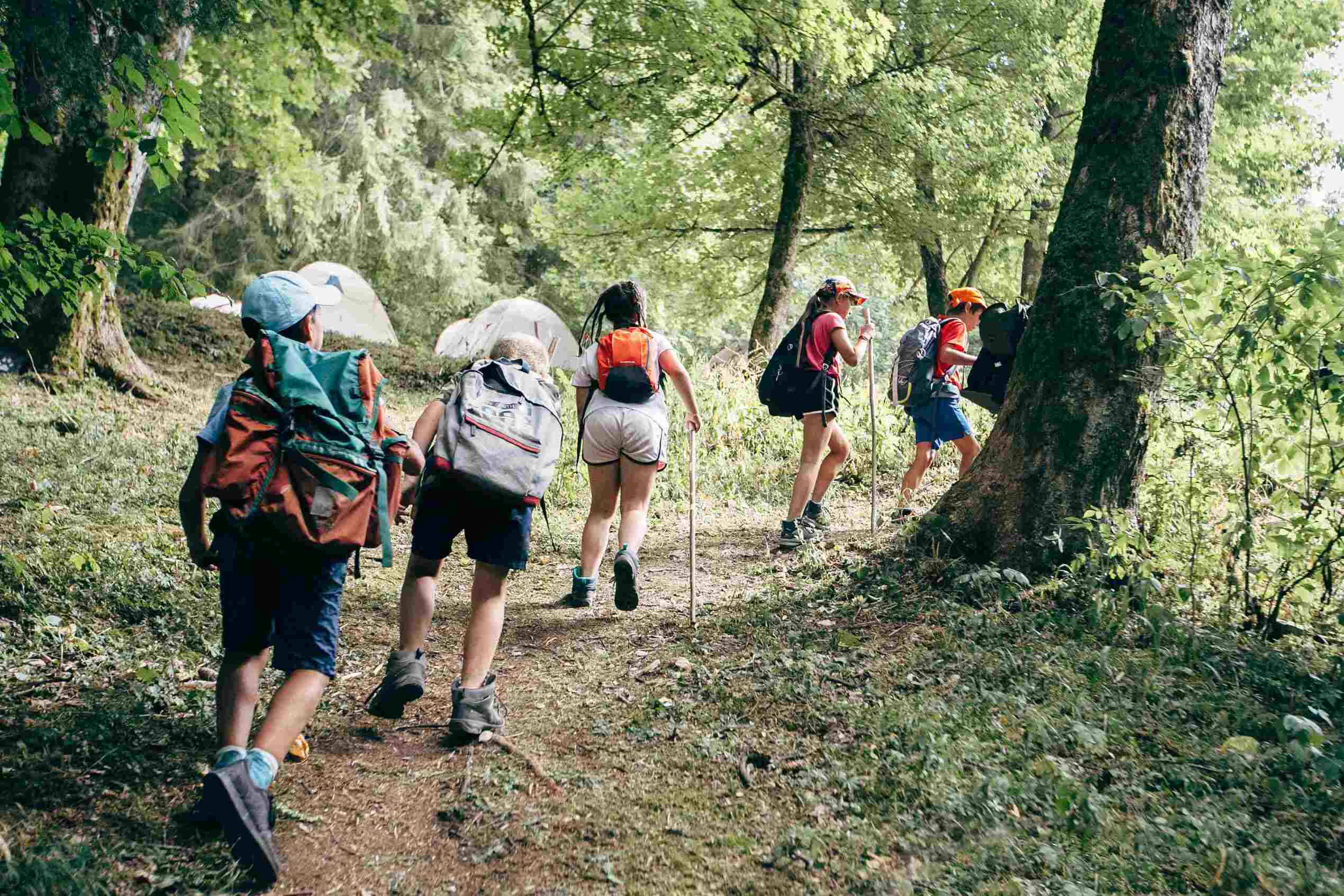 Robinson du Vercors - Image 2