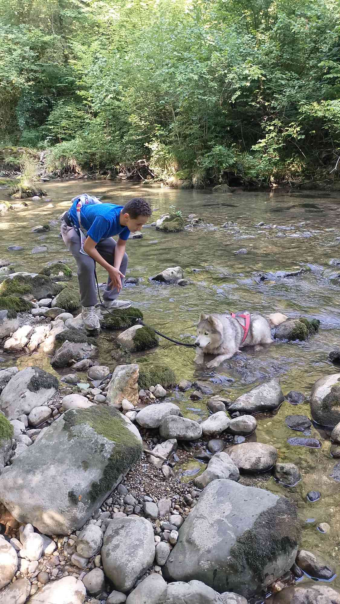 Colonie Les Aventuriers de la montagne - Image 3