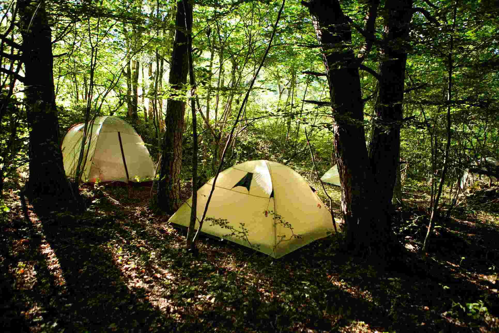 Chemin faisant, aux côtés des Ânes - Image 3