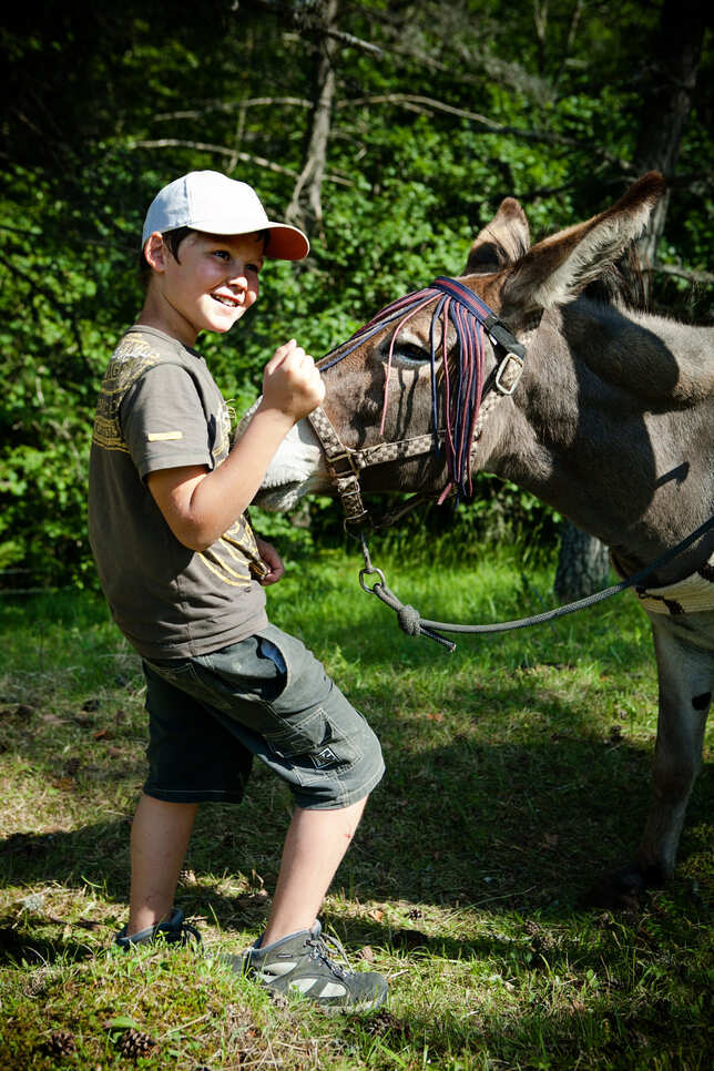 Chemin faisant, aux côtés des Ânes - Image 2