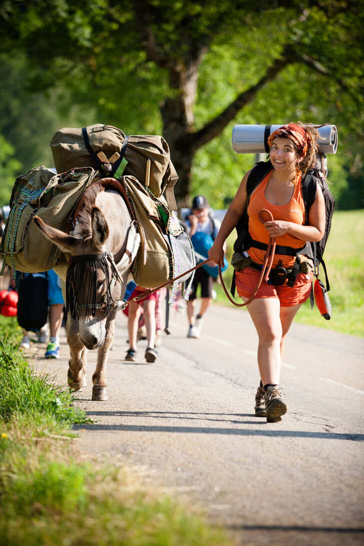 Chemin faisant, aux côtés des Ânes - Image 1