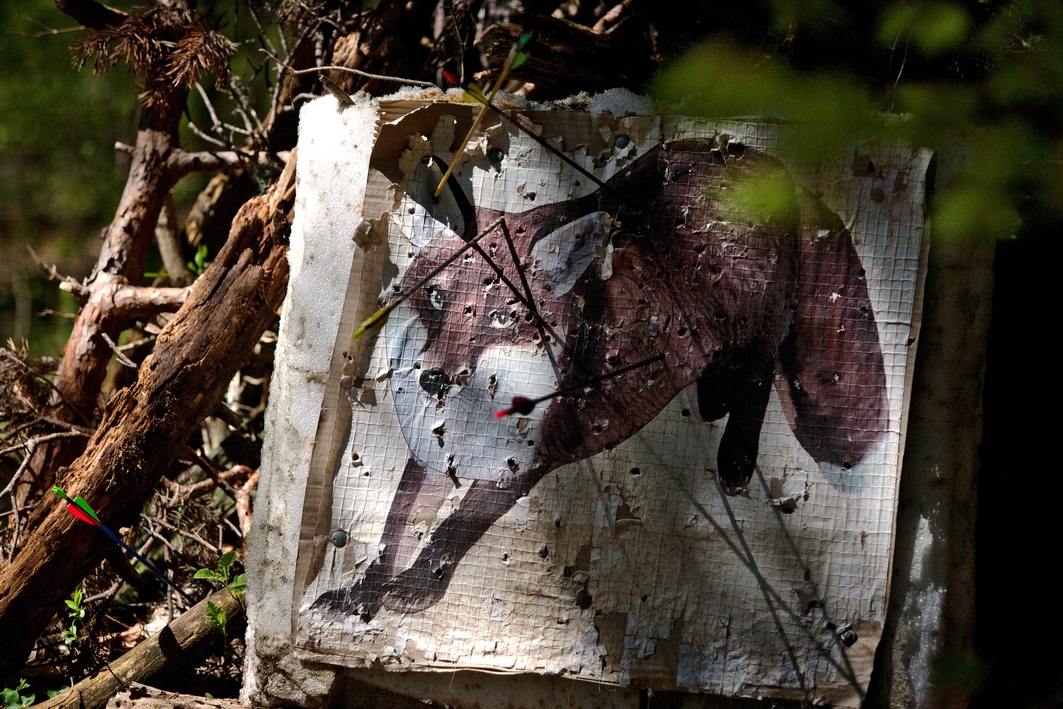 Stage Tir à l'arc - Image 1