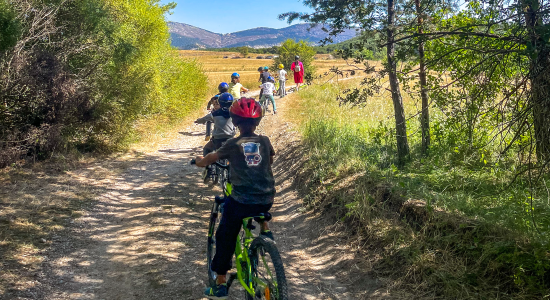 Summer Adventure - Image 2