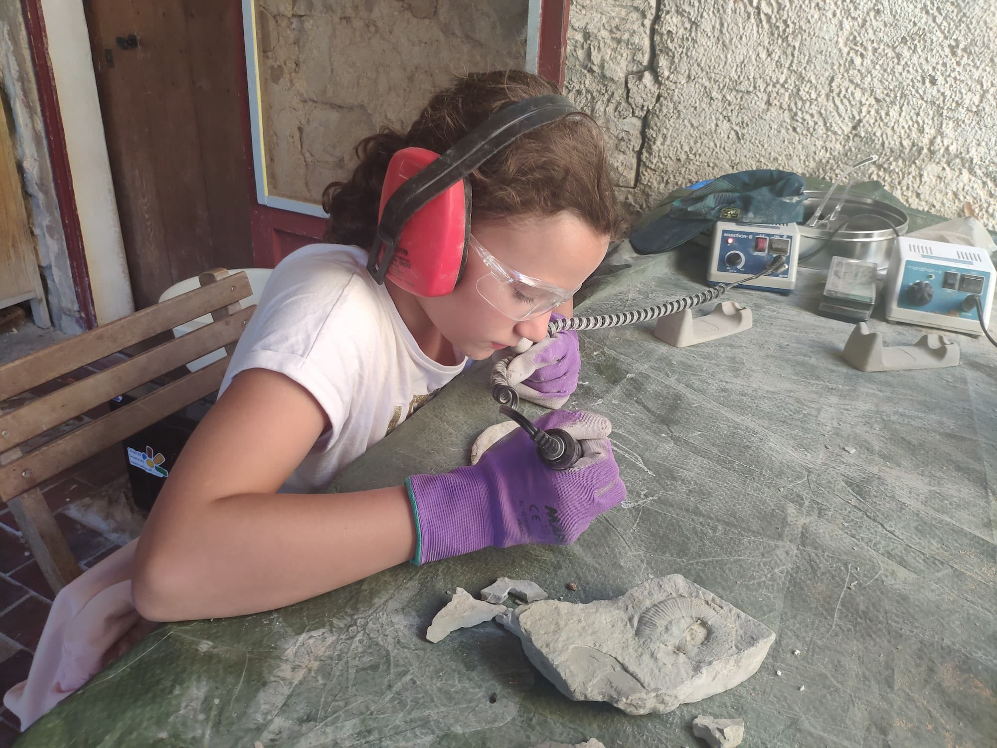 Au Temps des Dinosaures - Image 2