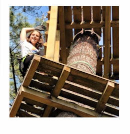 Danser Maintenant à Dax - Image 2