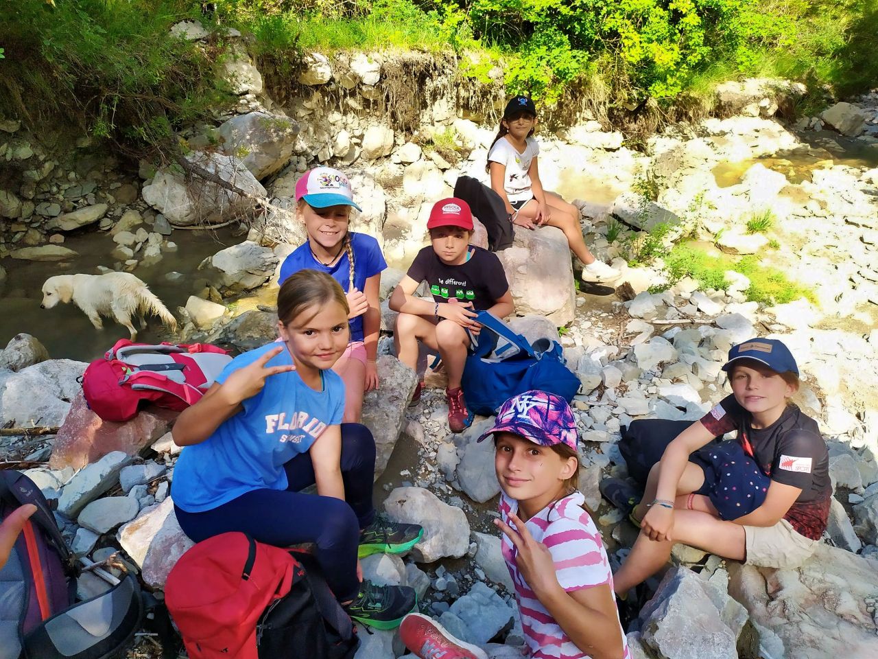 CANI-AVENTURE - Image 2