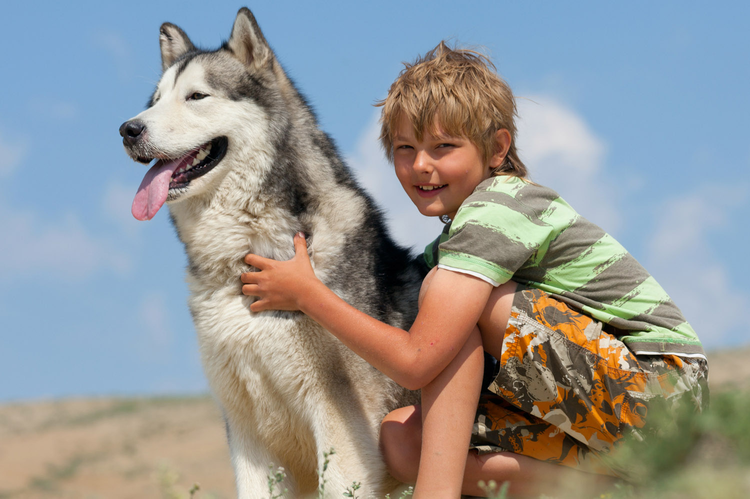 Aventure avec les chiens de traîneau 9 -12 ans - Image 3