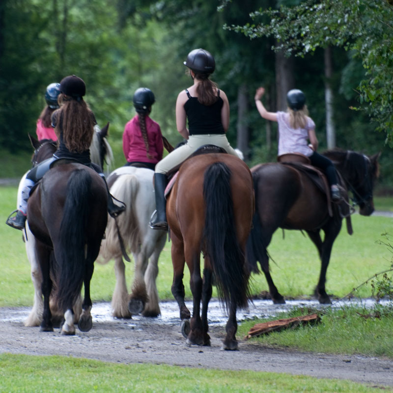 Colo Equitation Ados - Image 1