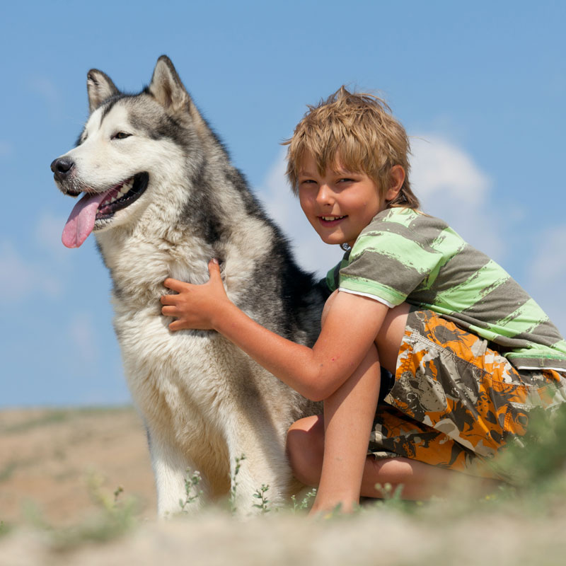 Aventure avec les chiens de traîneau 13/14 ans  - Image 1