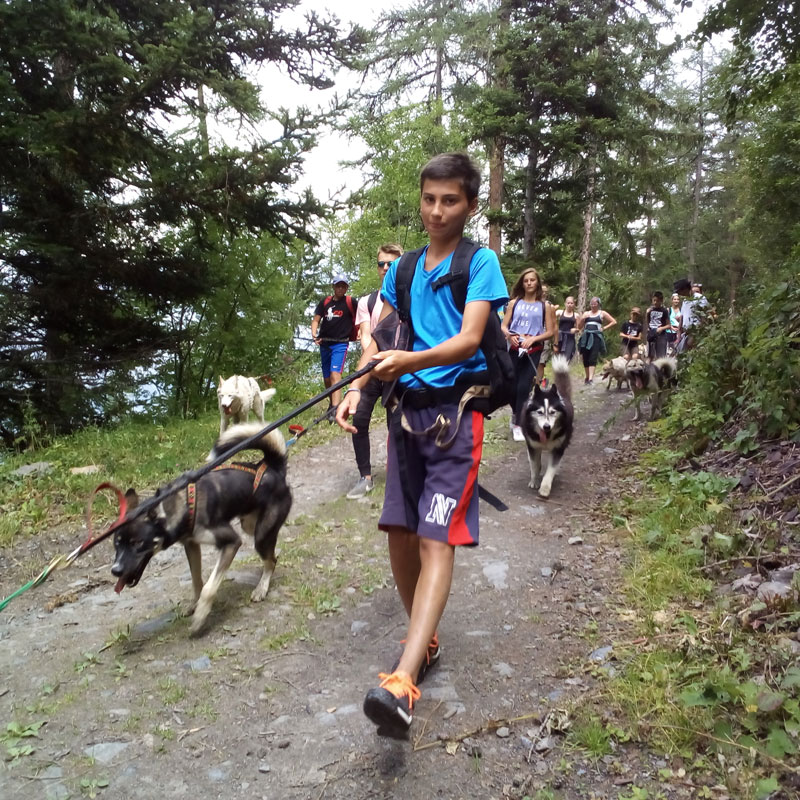 Aventure avec les chiens de traîneau 13/14 ans  - Image 3