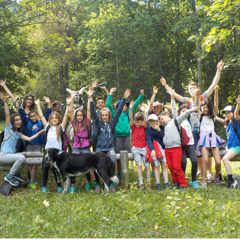 Aventure avec les chiens de traîneau 13/14 ans  - Image 2