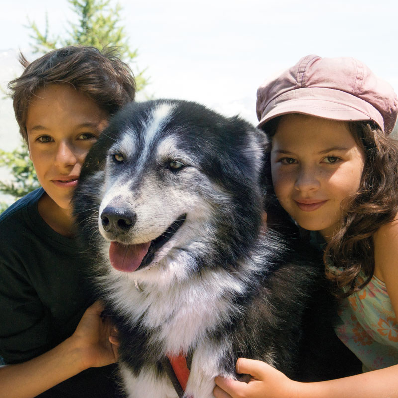 Colo des animaux - Image 1