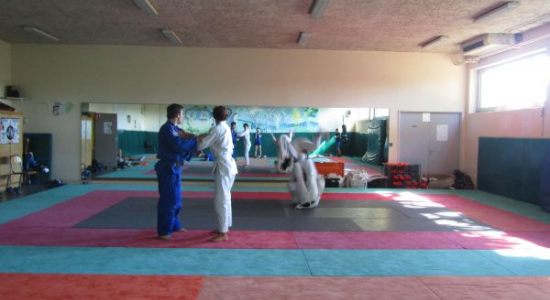 Fight Experience - Image 2