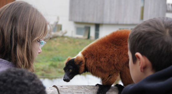 Découvertes au pays du Futuroscope - Image 2