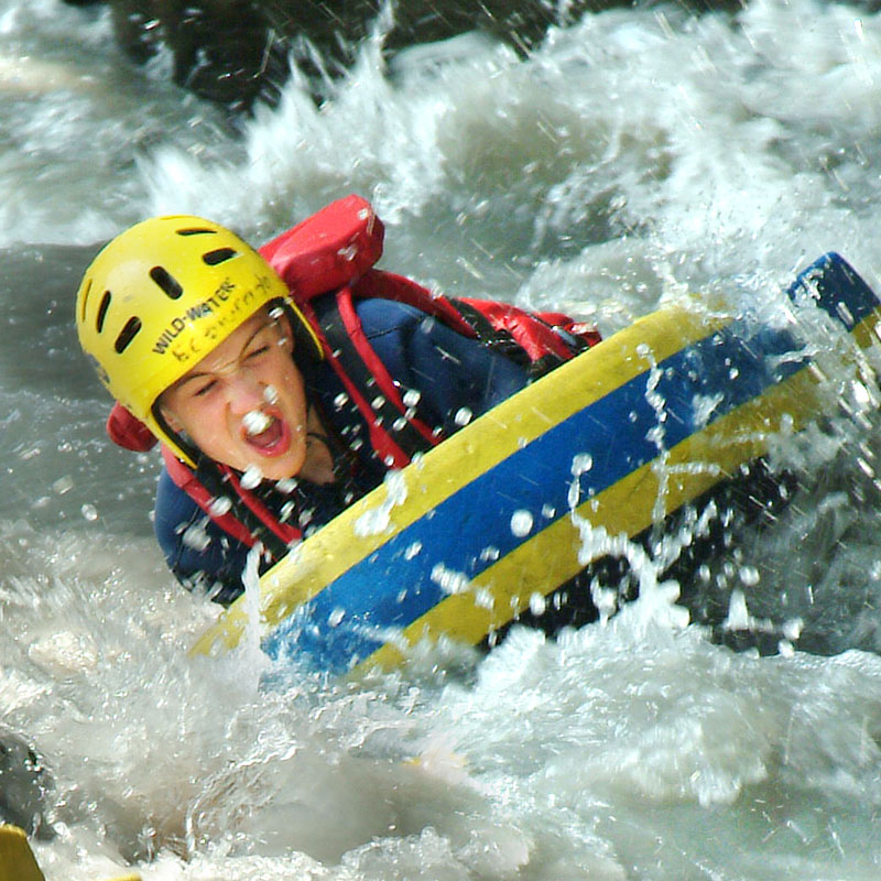 La Colo des Potes - Image 1