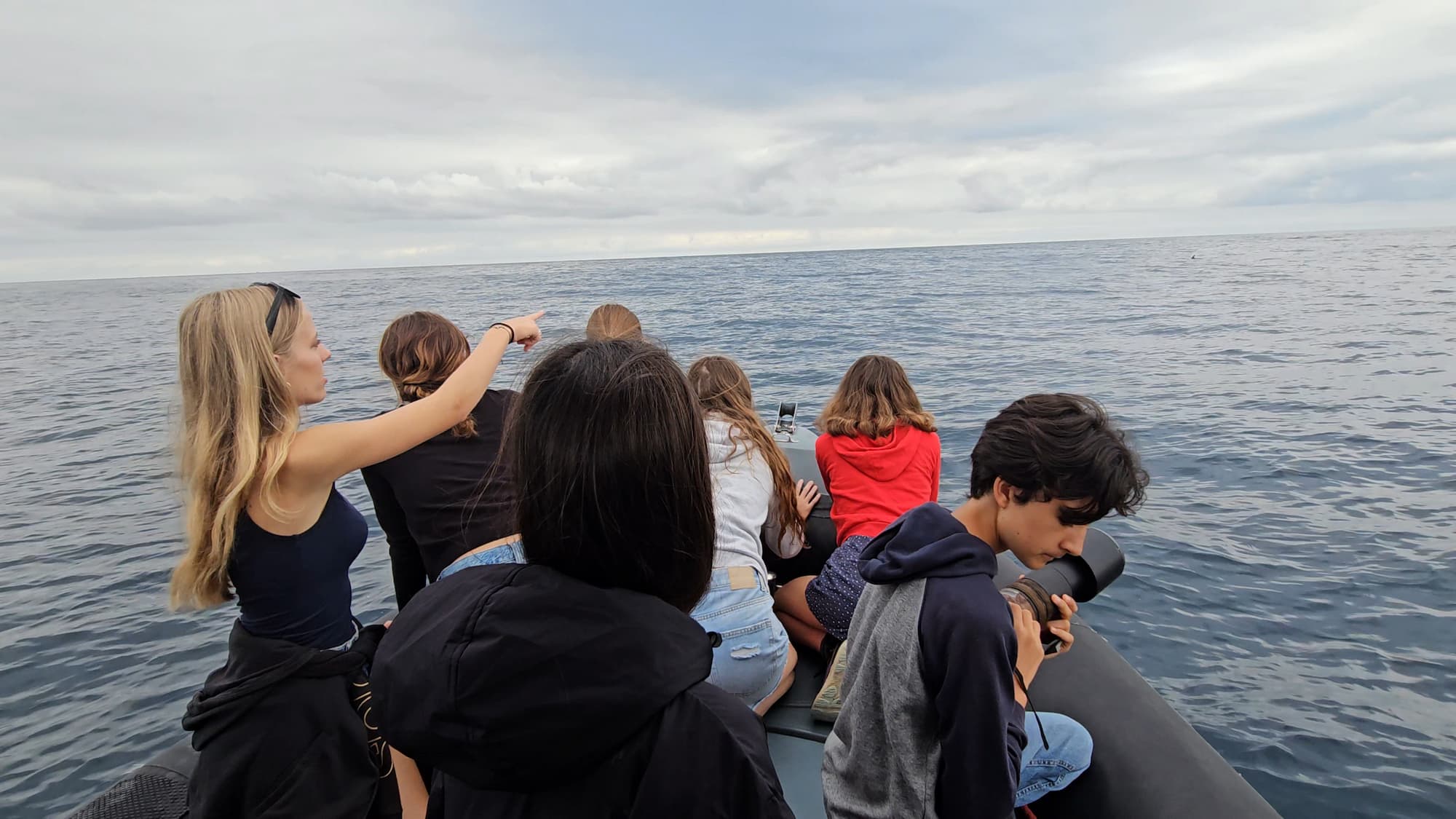 La Baleine Gouf de Capbreton - Image 2