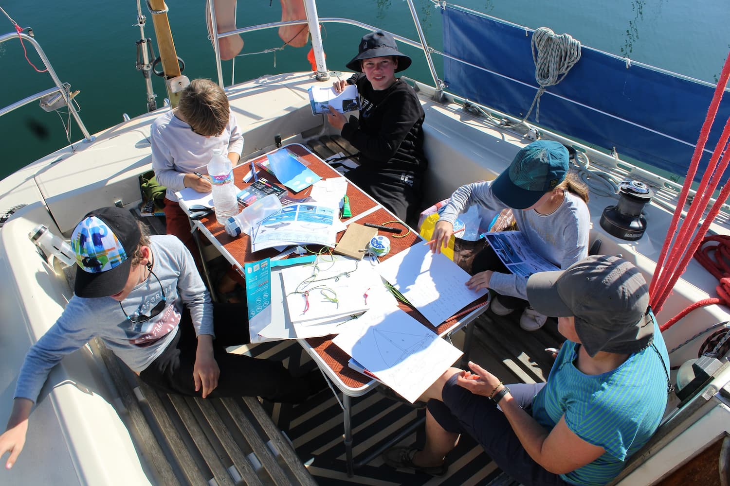 Dauphin des archipels - Image 1