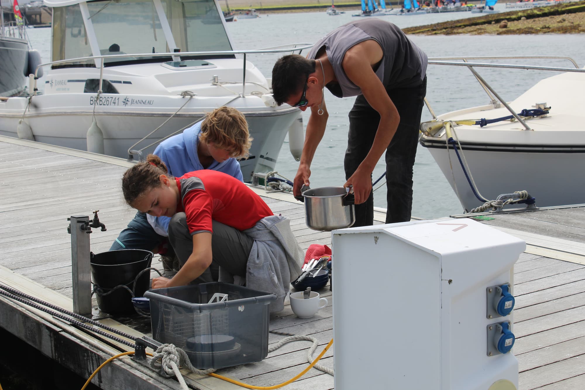 Dauphin des archipels - Image 2