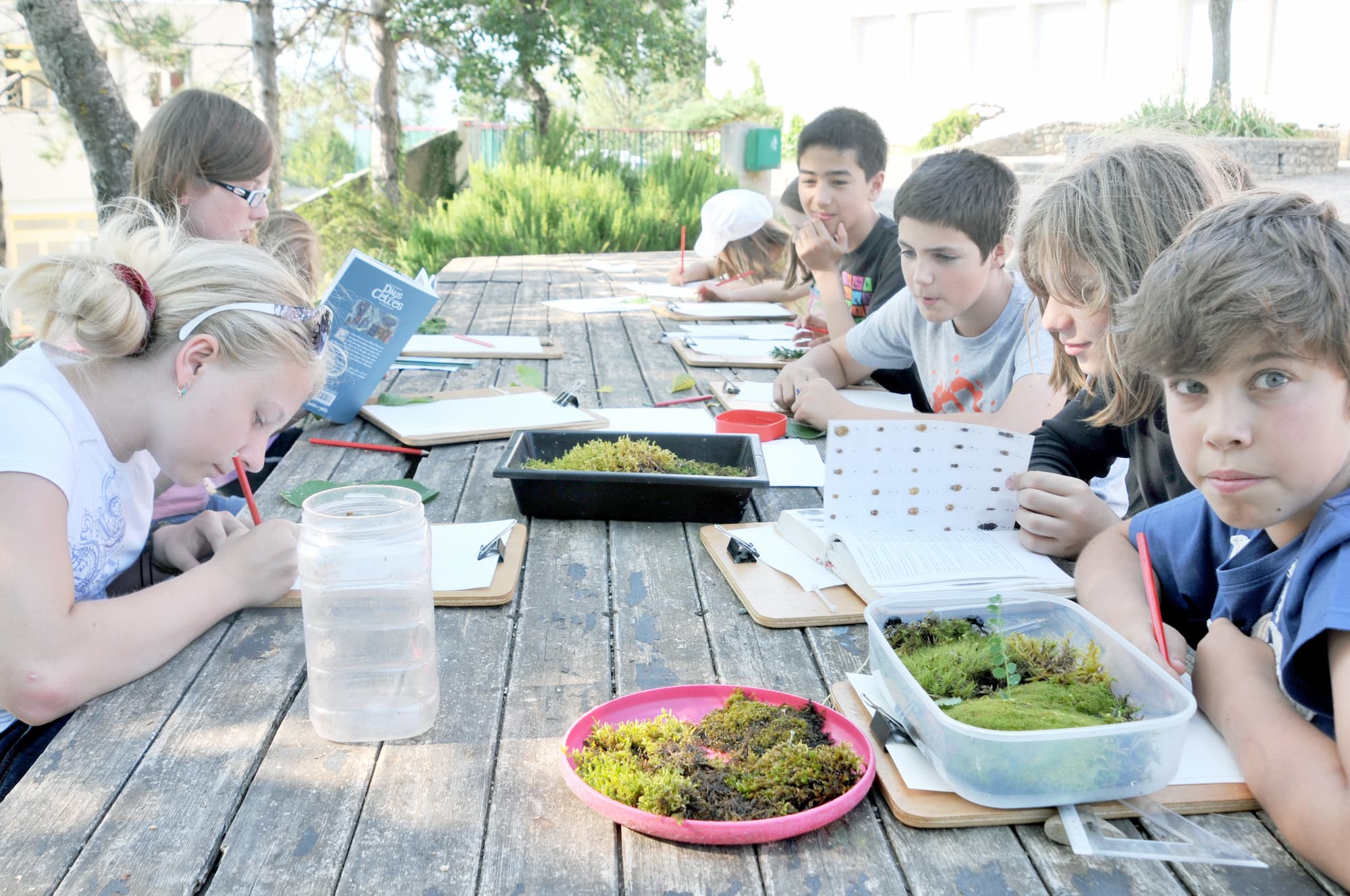 Pirates de la Forêt - Image 3